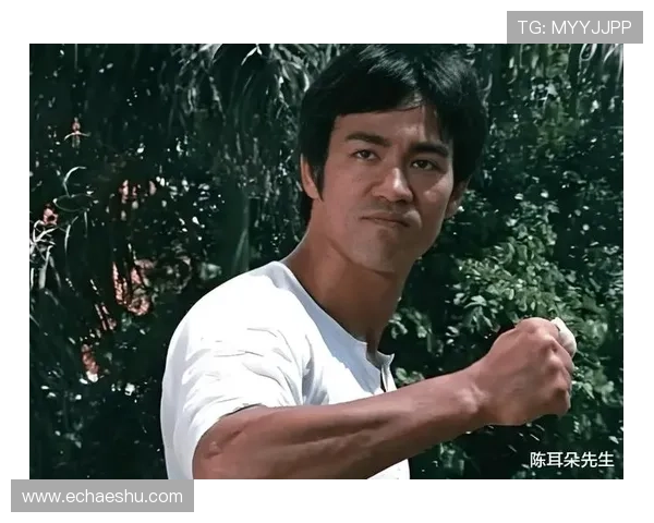 动作电影的终极进化：截拳道，不止于银幕的传奇